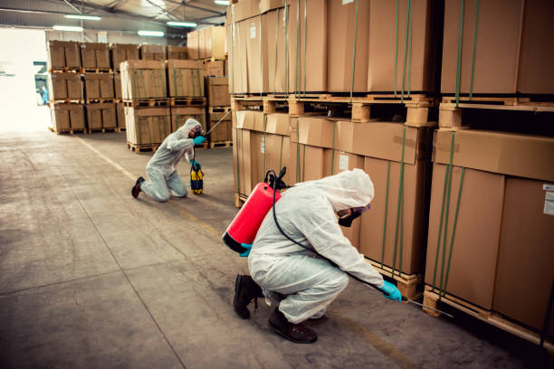 Best Affordable Pest Control Services  in Moville, IA
