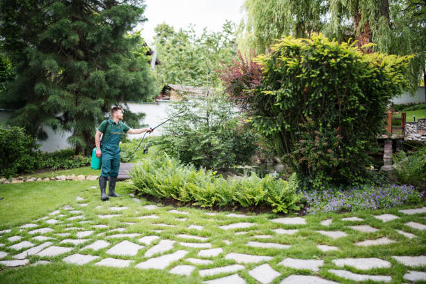 Best Pest Removal Services  in Moville, IA