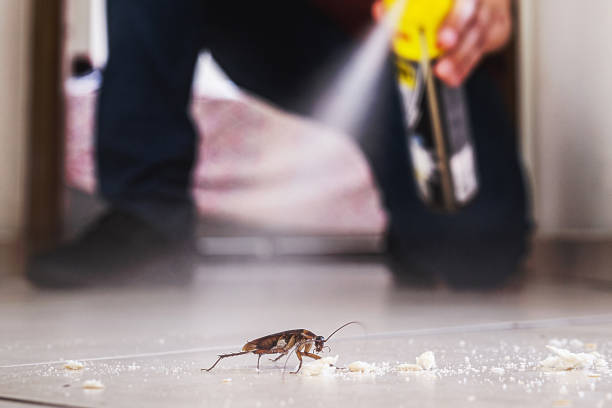 Best Commercial Pest Control Services  in Moville, IA