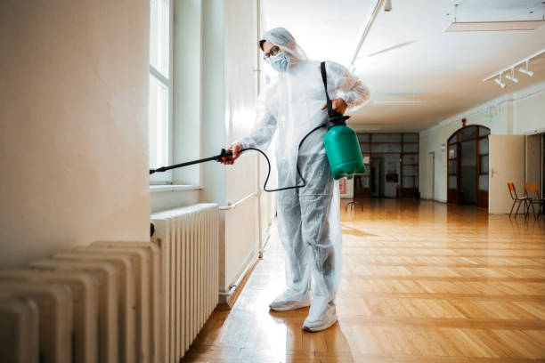 Best Termite Control Services  in Moville, IA